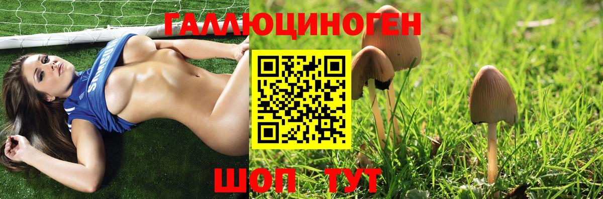 Псилоцибиновые грибы мицелий  Вход с VPN  где найти наркотики  Лесосибирск 
