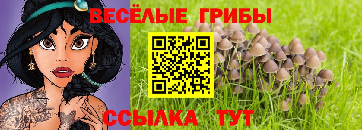 Галлюциногенные грибы Magic Shrooms Лесосибирск